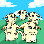 5 yellow Poogles standing in a group.